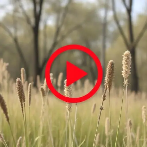 Cara Download Video iStock Gratis Tanpa Watermark Online