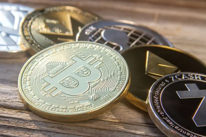 Altcoin Crypto Investasi Bitcoin Portfolio Blockchain Profit